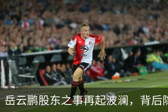 岳云鹏股东之事再起波澜，背后隐患令人关注